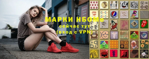 сатива Алексеевка