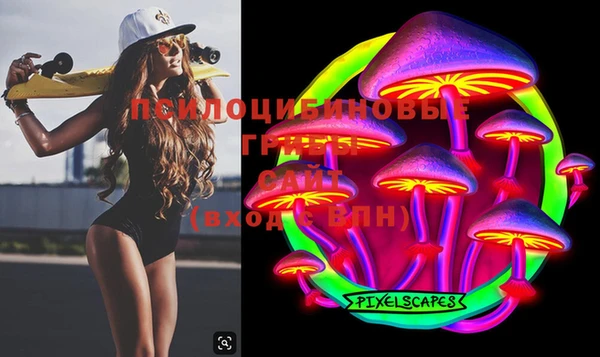 не бодяженный Надым