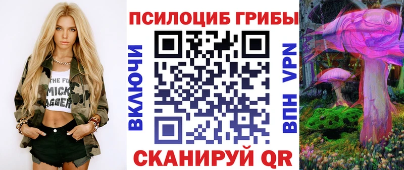 где купить наркотик Чёрмоз Галлюциногенные грибы Psilocybine cubensis